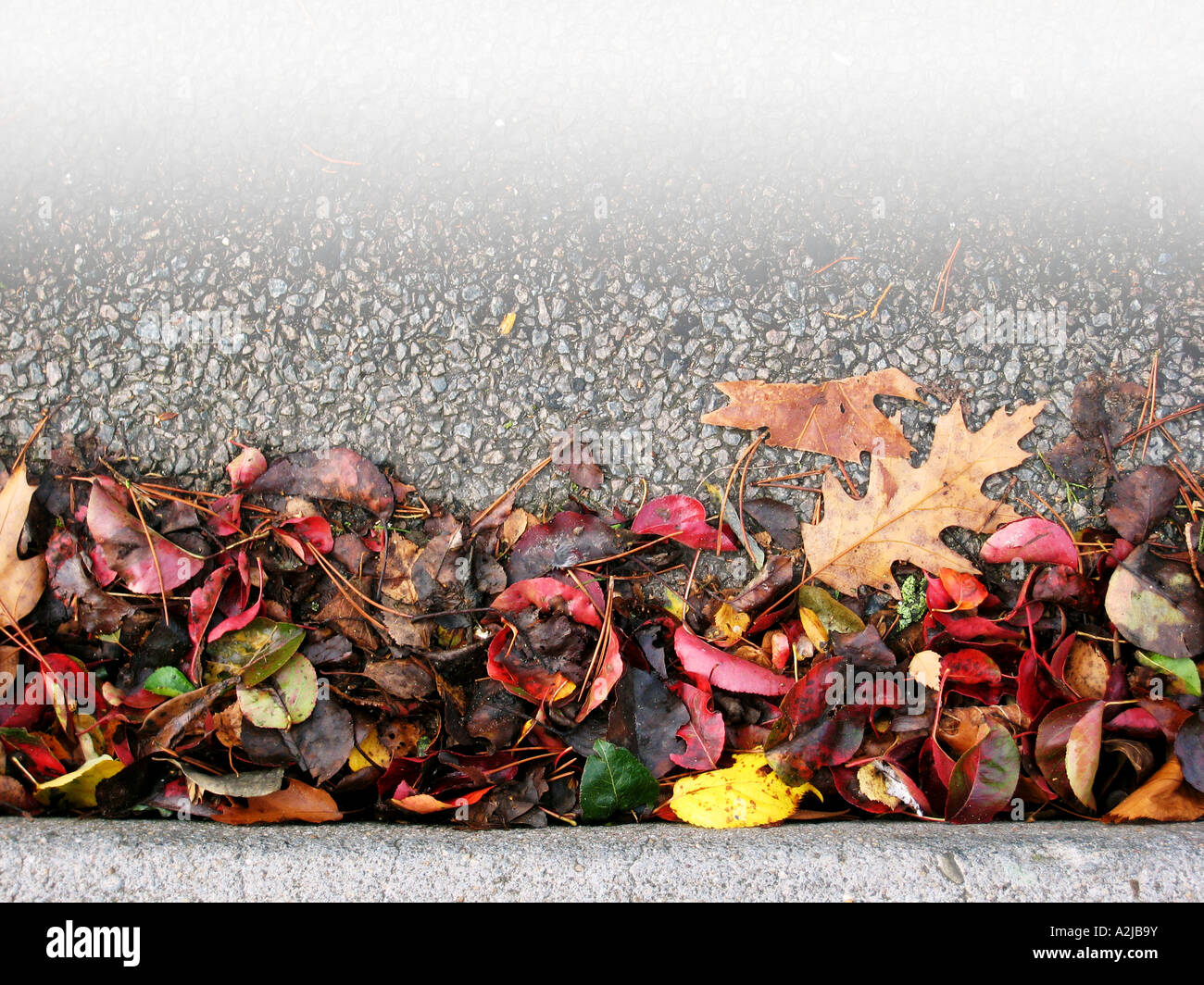 background image of autumn leaves by roadside Stock Photo - Alamy