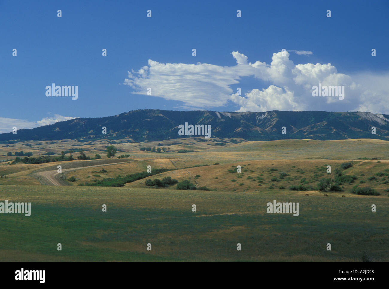Sheridan mountain hires stock photography and images Alamy