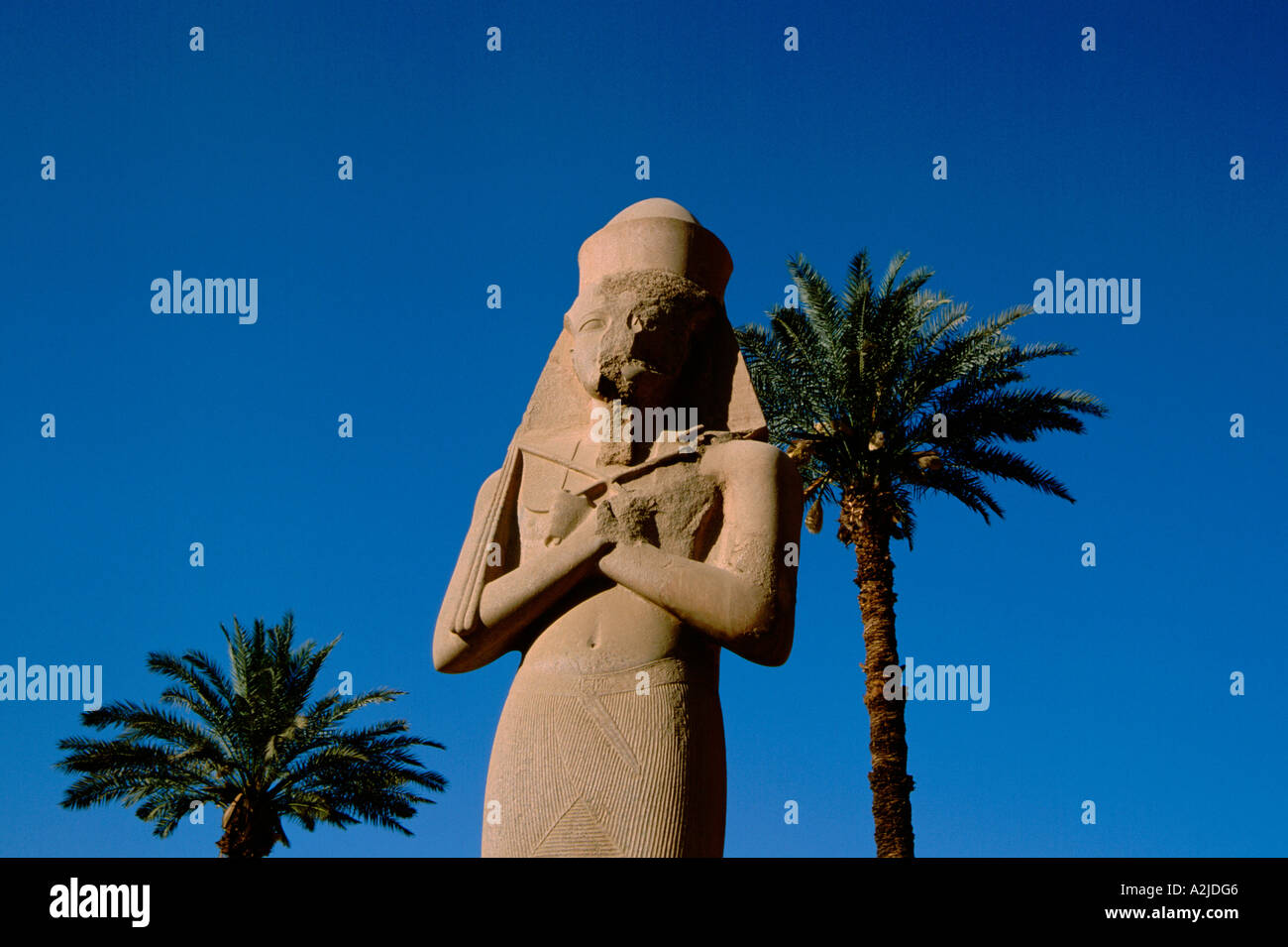 Africa - Egypt - Luxor - Karnak - Huge stone statue stands as tall as the tallest palms Stock Photo