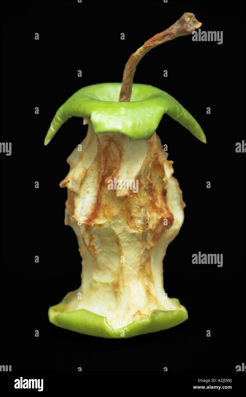 Rotten Apple Core Stock Photo Alamy Rotten Apple Core Stock Photo Alamy