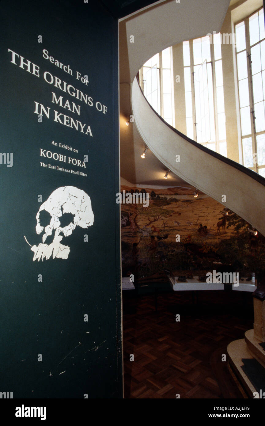 Kenya, Nairobi, Kenya National Museum, Origins of Man exhibit, Koobi Fora Stock Photo