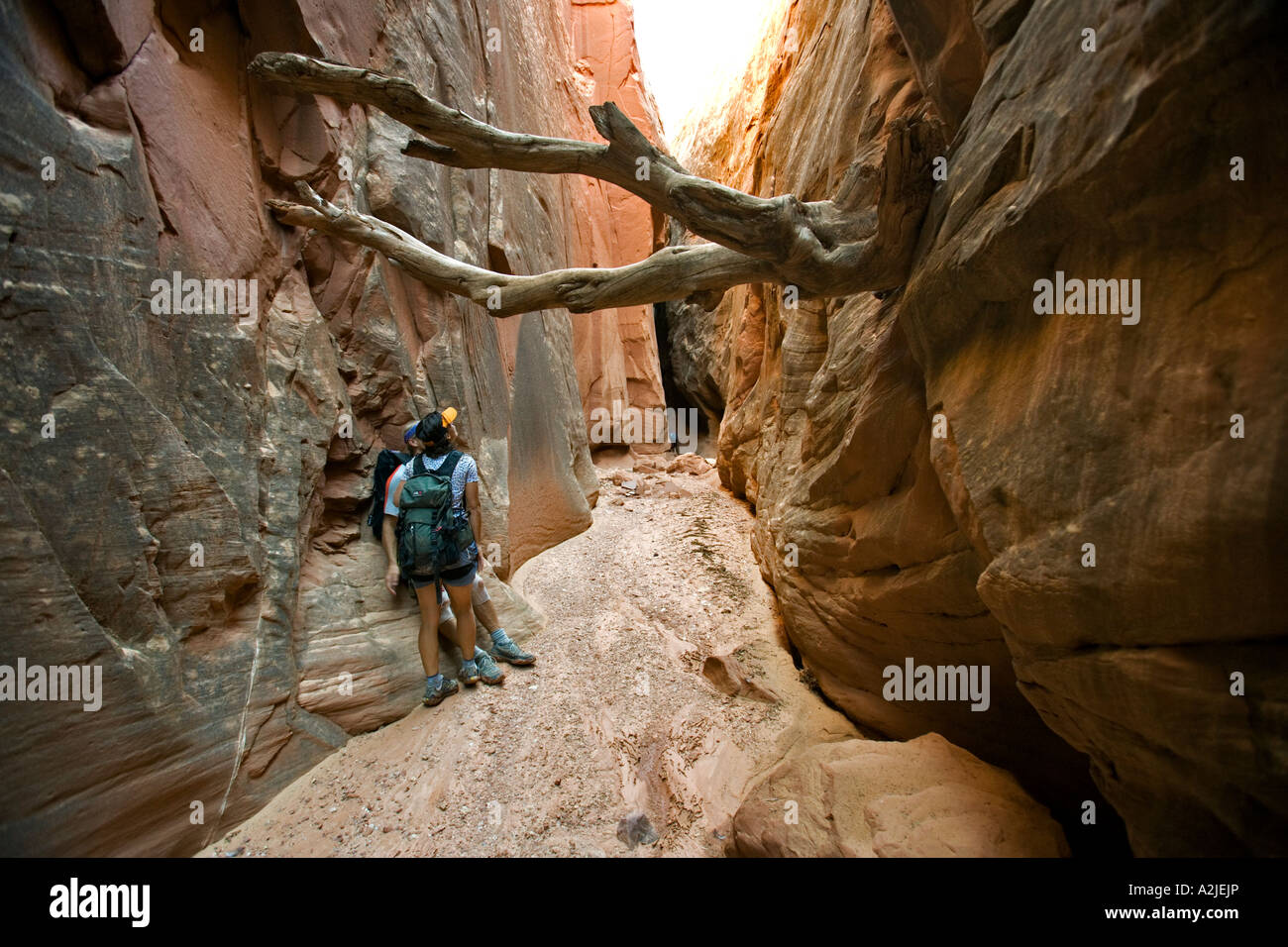 canyoneering in Bluejohn canyon, Robbers Roost area, Utah Stock Photo