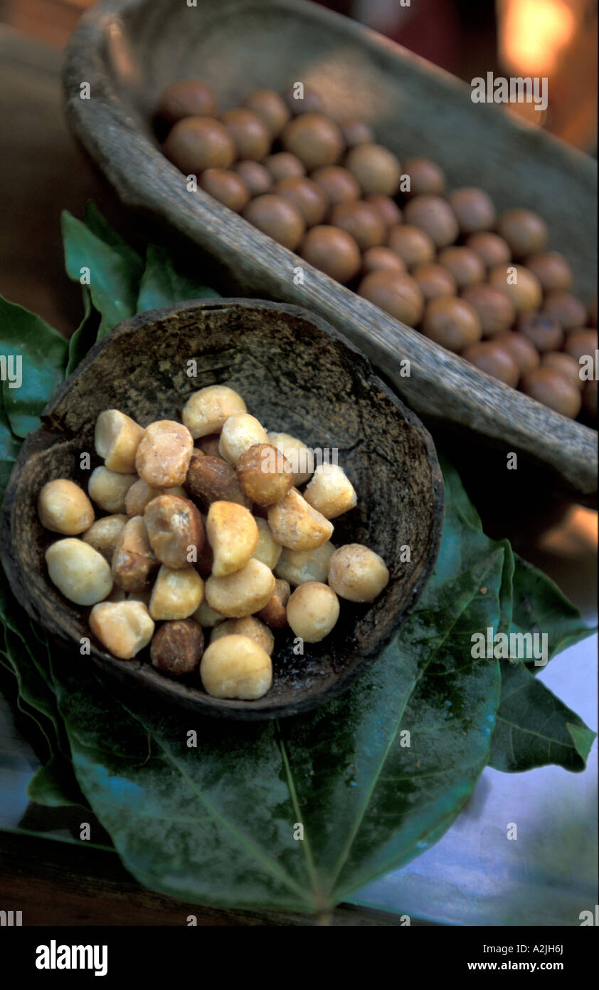 Macadamia Nuts, Molokai Hawaii Stock Photo Alamy