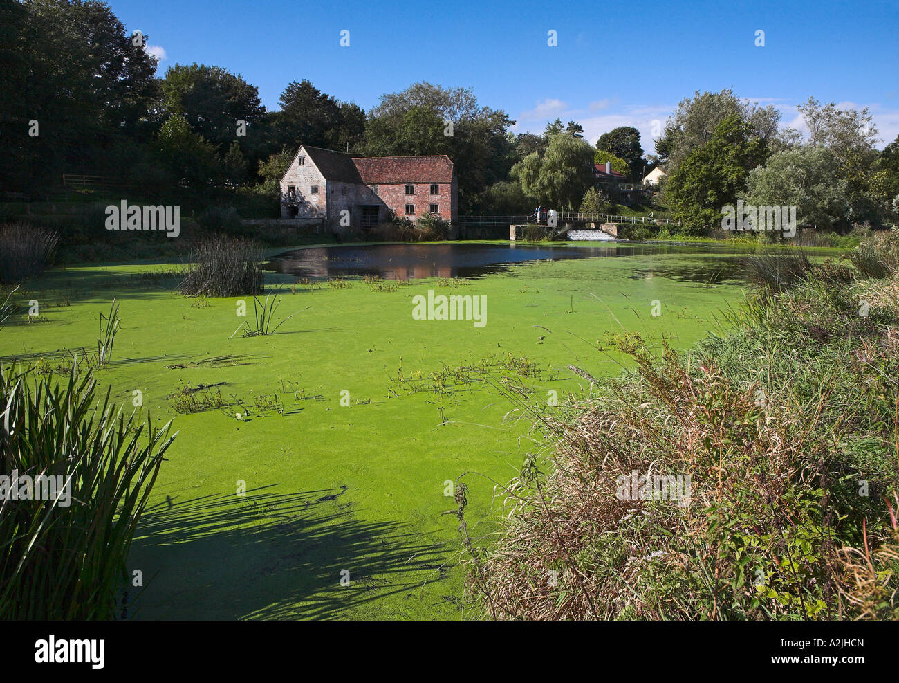 Silt-laden water rushing over a weir on the River Stour Blandford Dorset  England UK Stock Photo - Alamy