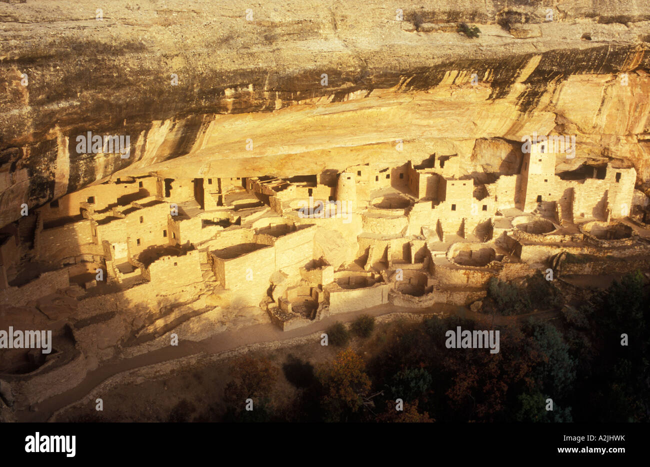 USA Colorado Mesa Verde National Park Cliff Palace cliff dwellings of ...