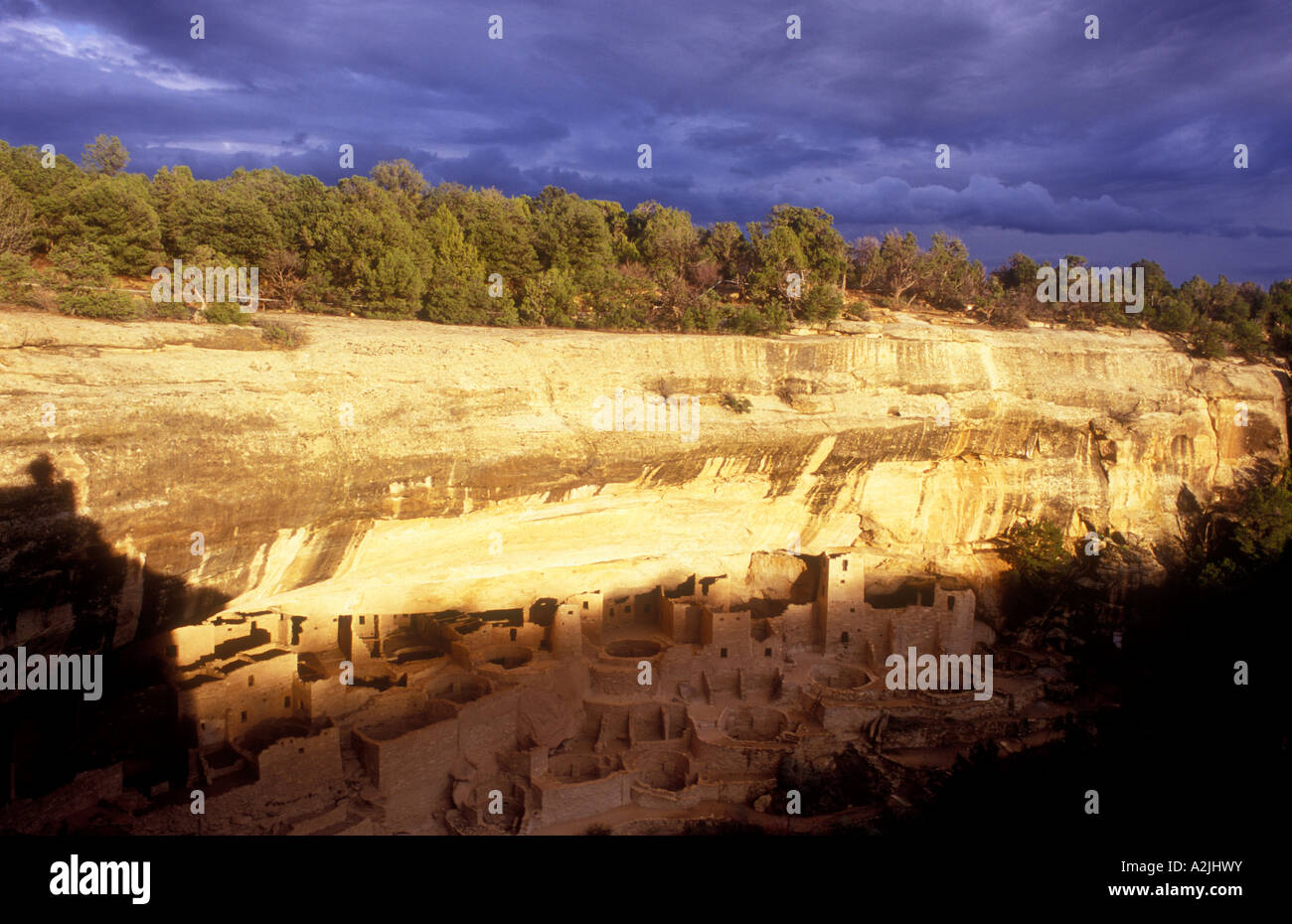 USA Colorado Mesa Verde National Park Cliff Palace cliff dwellings of ...