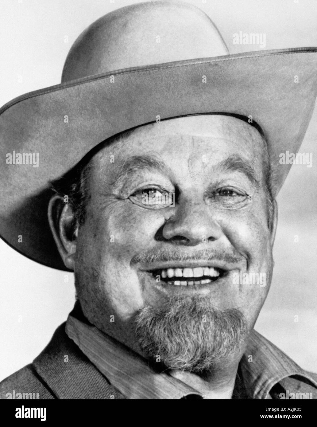 Burl ives hires stock photography and images Alamy