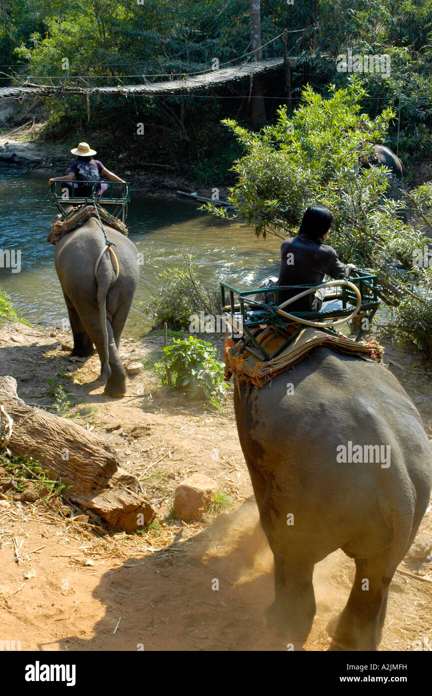 Elephant Trek, Thailand Stock Photo