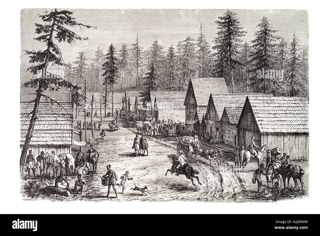 Timber board log house cabin street wild west USA Forest Mountain horse dog wagon settle main rocky mountain trade trader Stock Photo