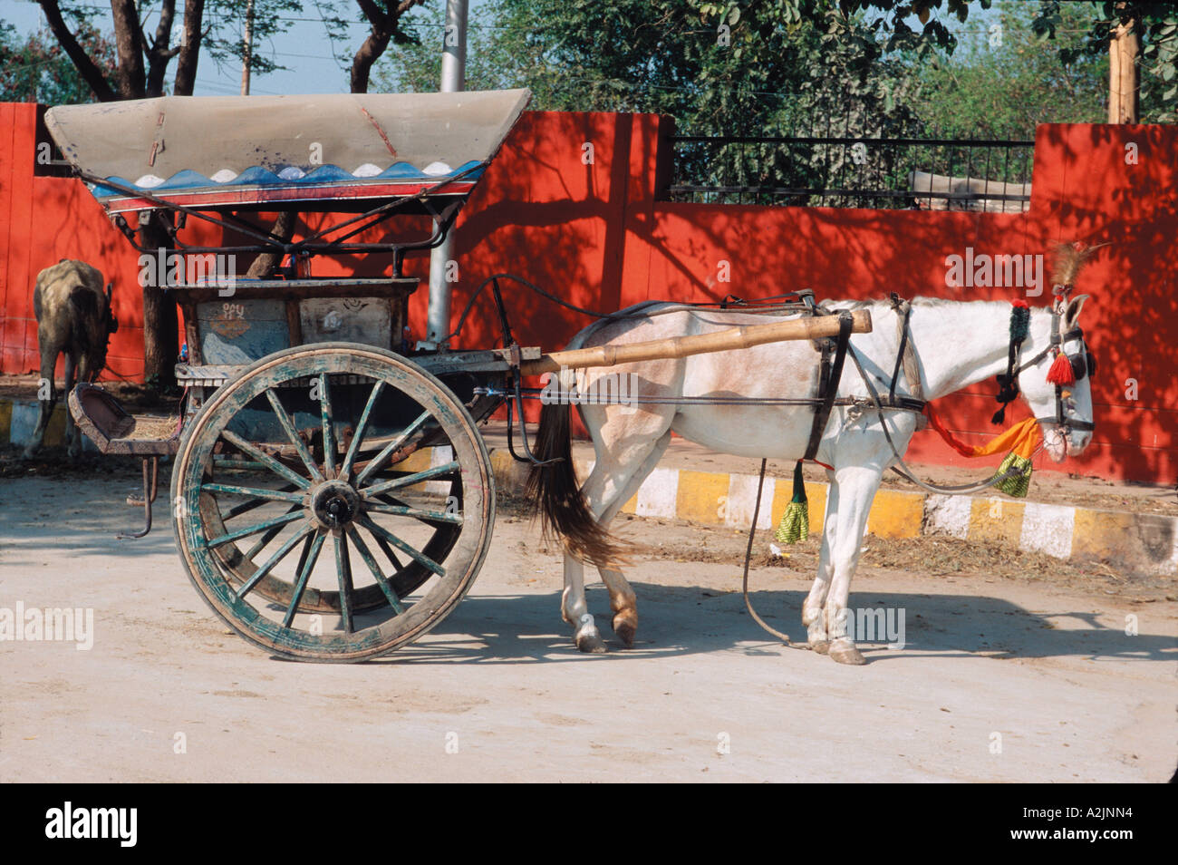 Horse Riding Rickshaw Guwahati, Assam, India, Horse Rickshaw Stock Photo - Alamy