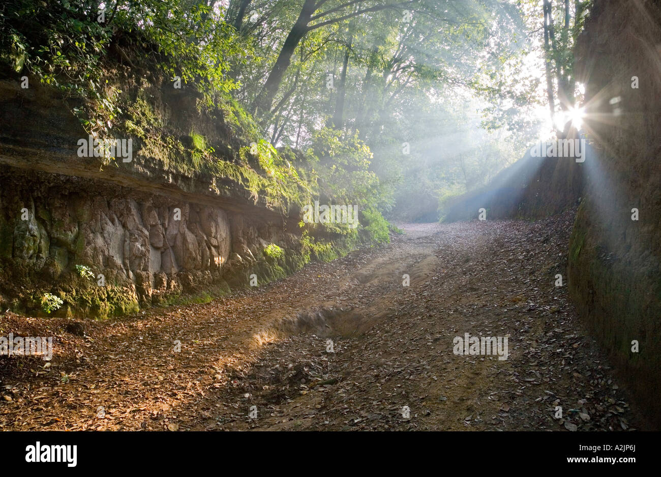 Ancient Etruscan road leading to the city of Veii Stock Photo