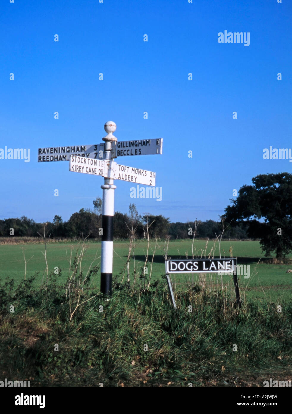 Dogs Lane and Country Road Sign English Country Scene Norfolk England ...
