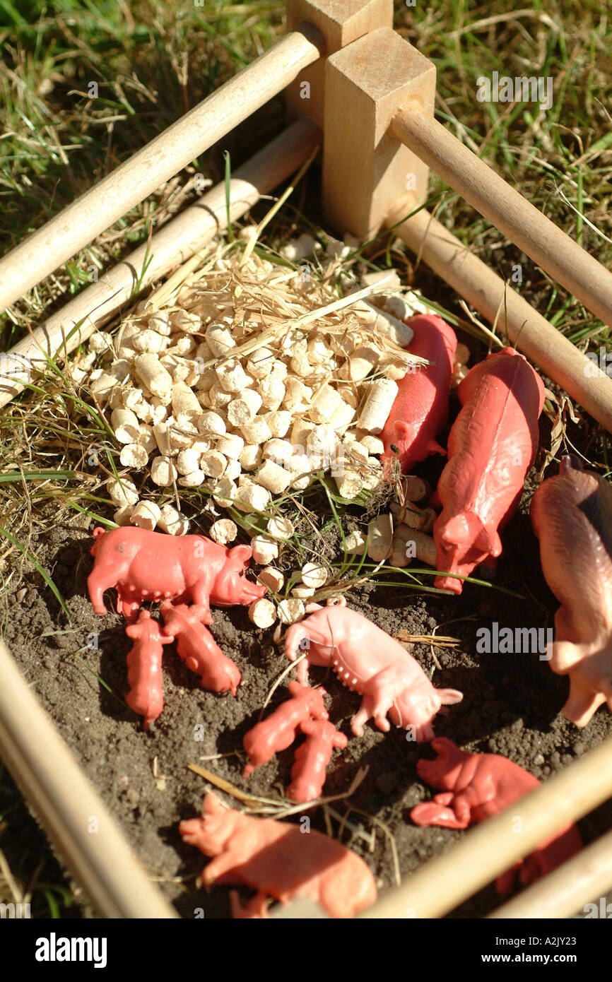 child plays with pigs Stock Photo Alamy