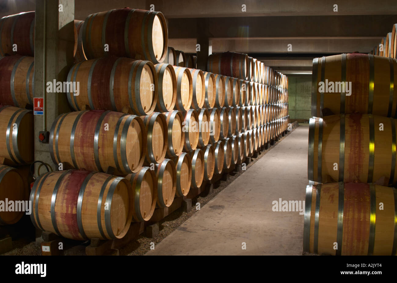 The modern barrel aging cellar with barriques pieces with maturing wine