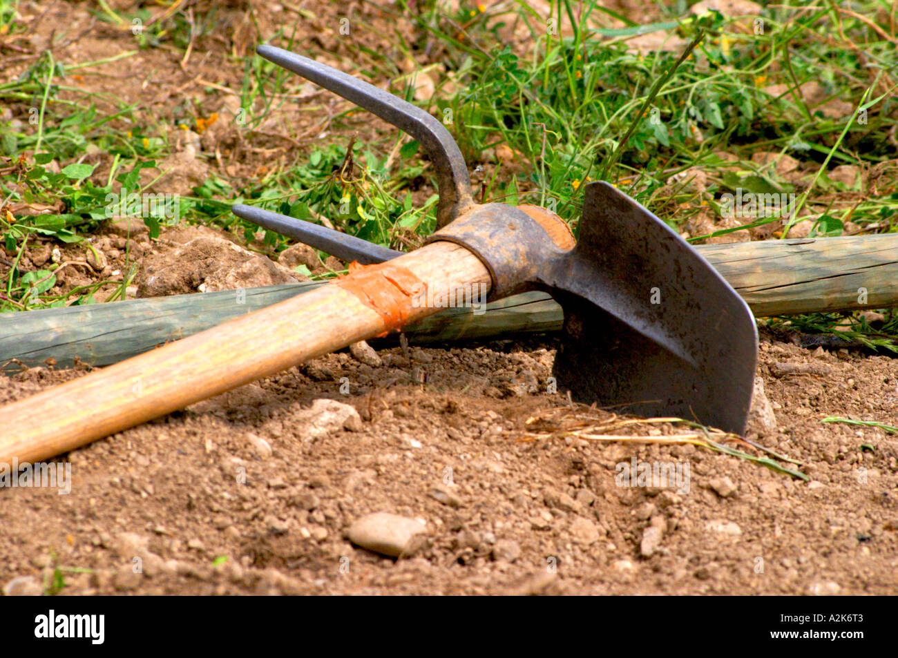 Vineyard worker tools, a pick and shovel In the vineyard Le Pavillon of M Chapoutier on the Hermitage hill, sandy and pebbly soil.   Domaine M Chapoutier, Tain l’Hermitage, Drome Drôme, France Europe Stock Photo