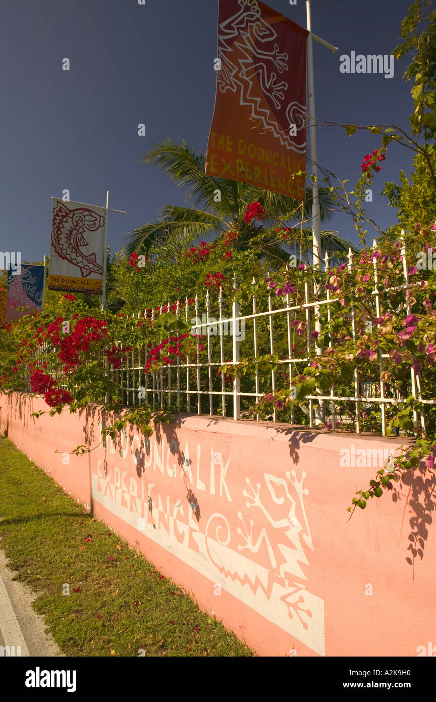 BAHAMAS, New Providence Island, Nassau: Doongalik Studios, Junkanoo Festival Native Workshop Stock Photo