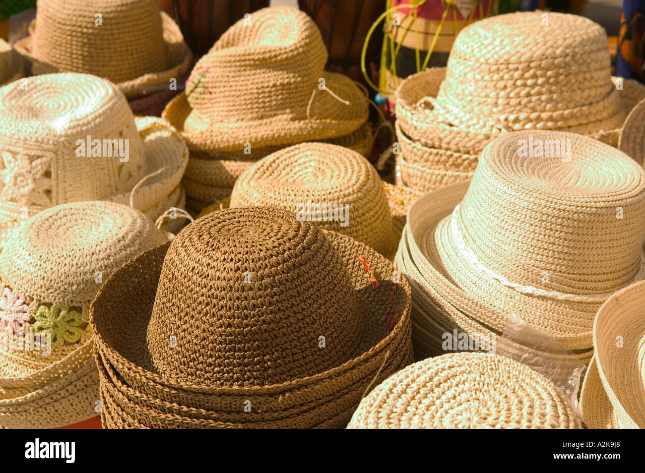 bahama hat