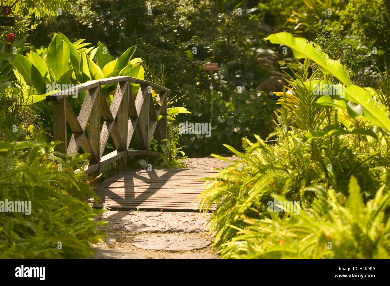 Barbados North East Coast Bathsheba Andromeda Botanic Gardens