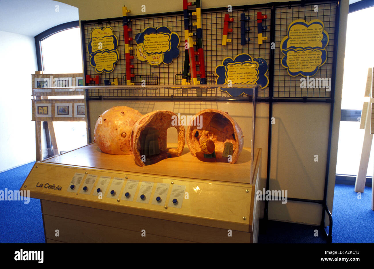 Educational games Stock Photo