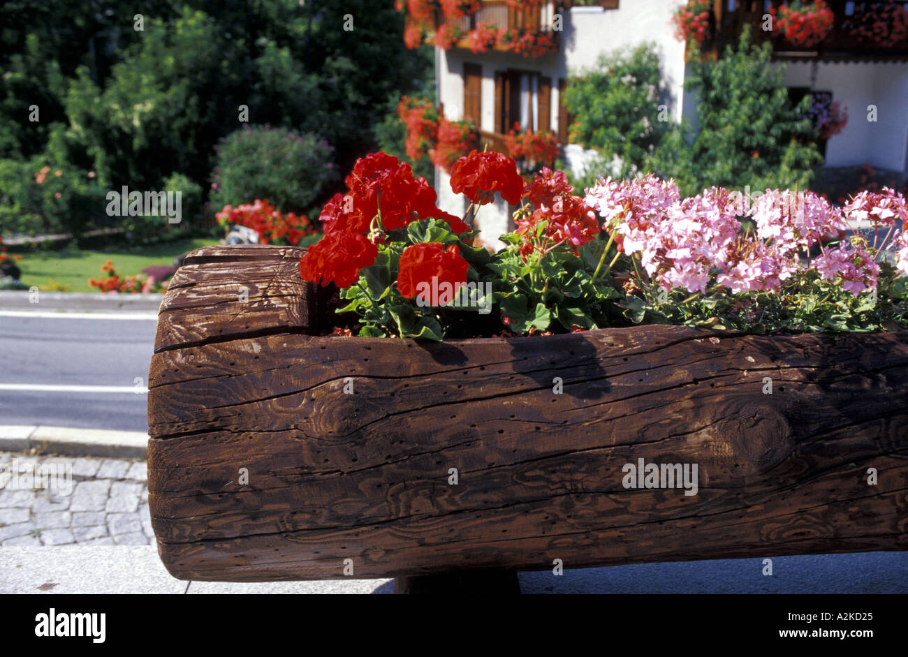 Flowerbed Stock Photo