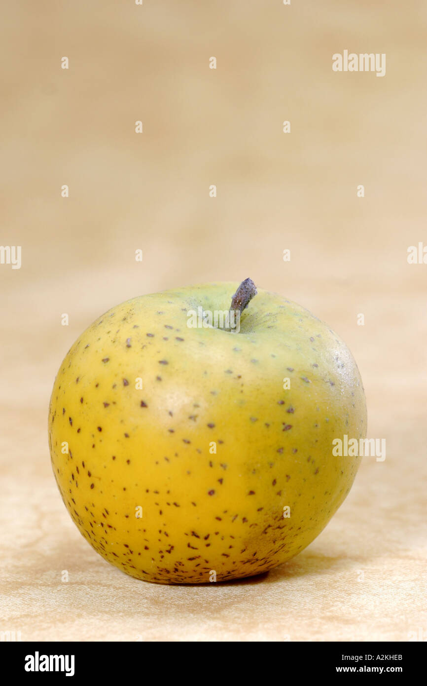 Apple Ananasrenette Stock Photo
