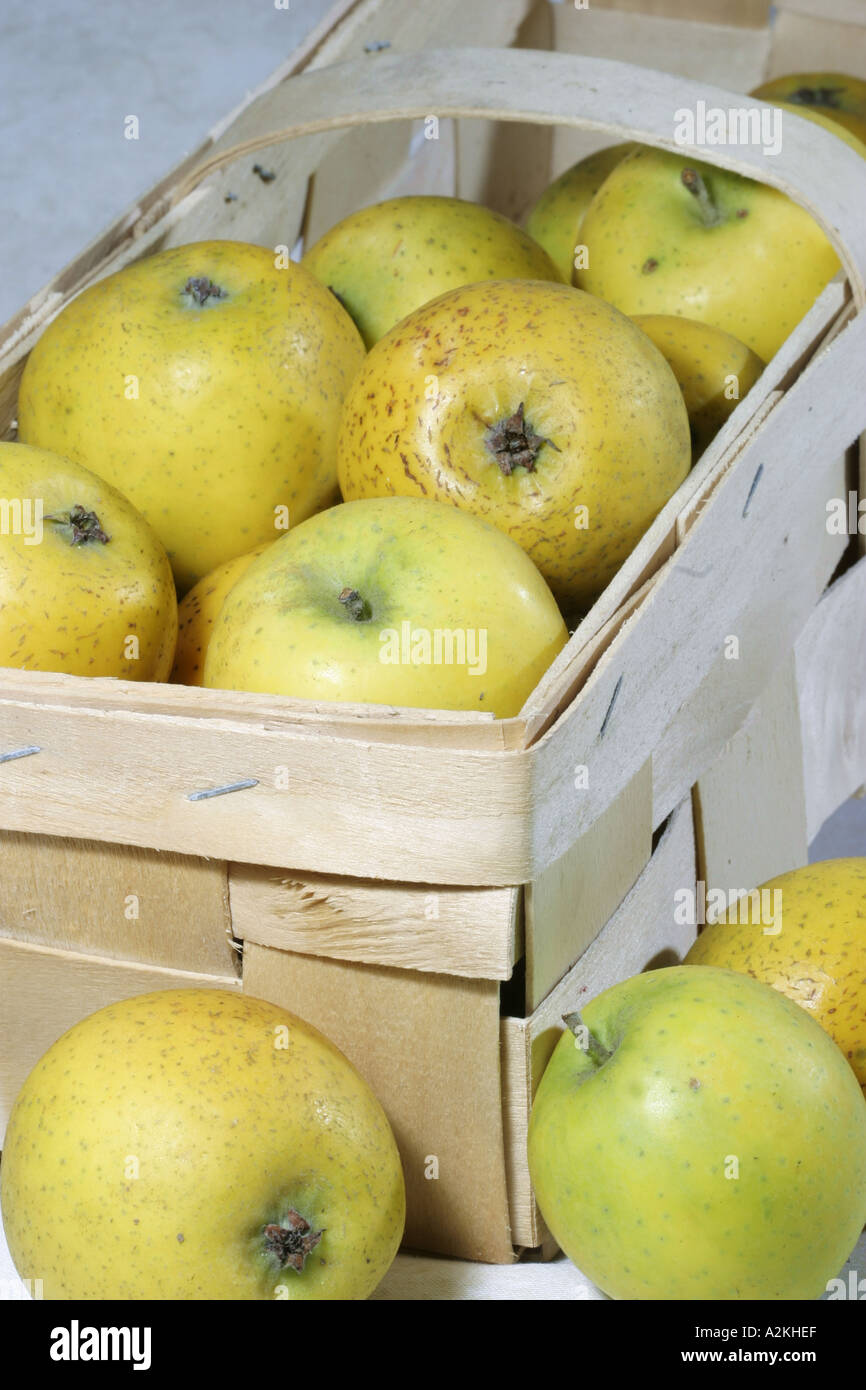 Apples Ananasrenette in a fruit box Stock Photo