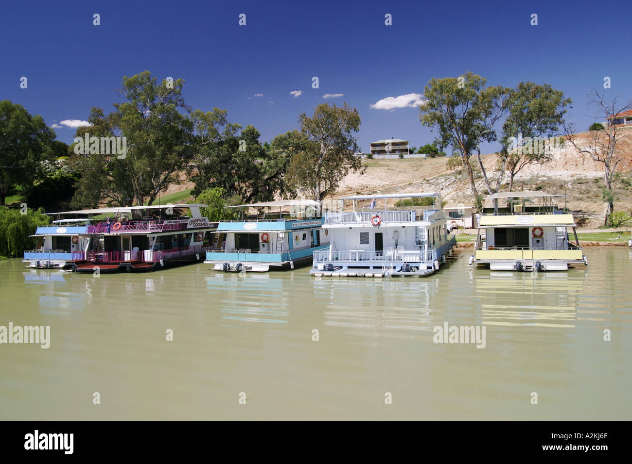 Housboats on the Murray river Renmark south Australia Stock Photo Alamy