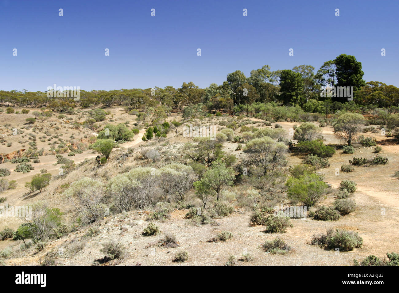Veld in South Australia Stock Photo - Alamy