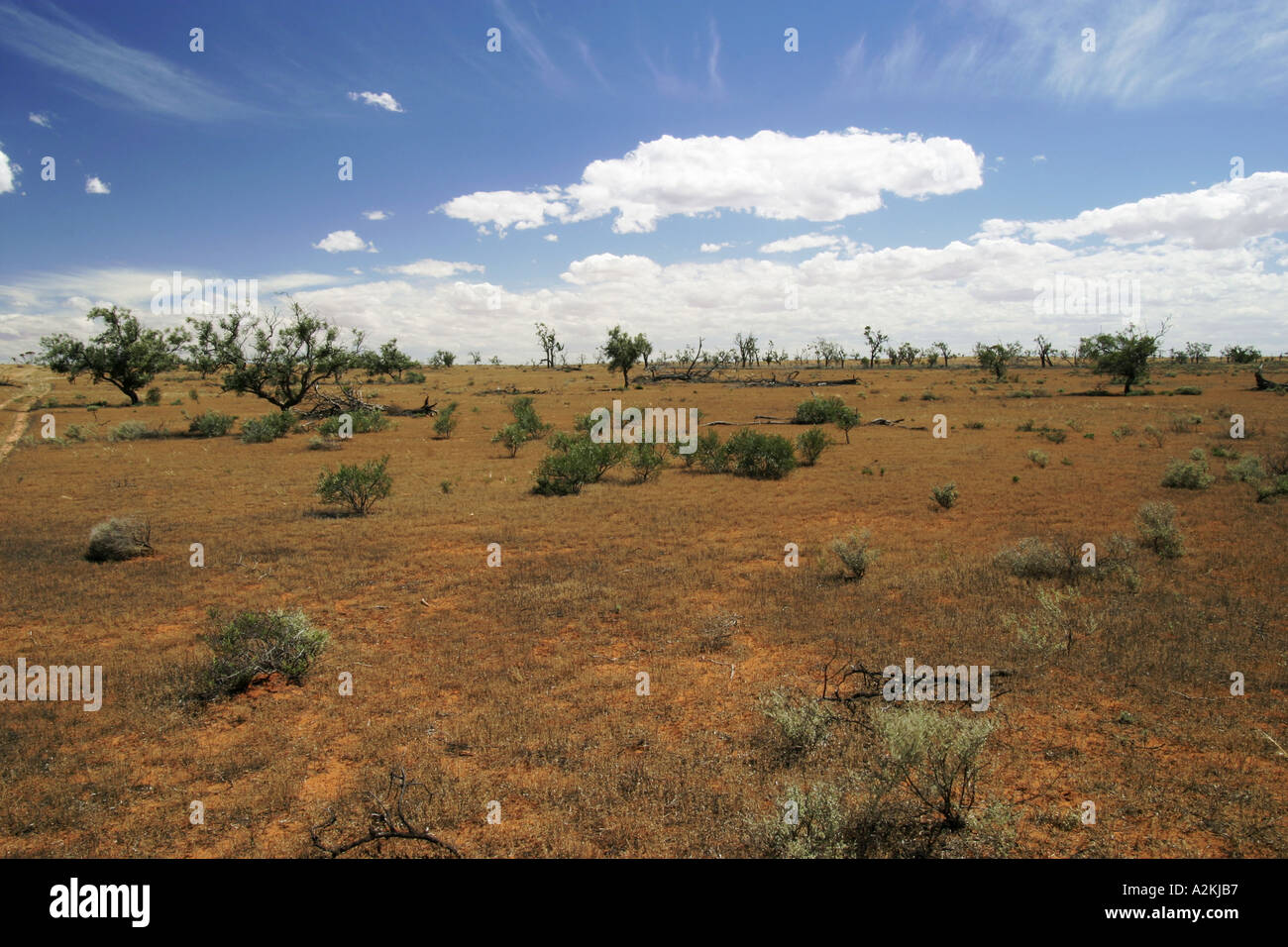 Veld in South Australia Stock Photo Alamy