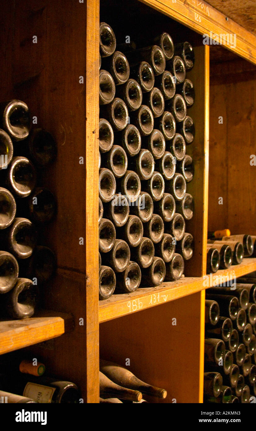 Old wine bottles aging in the wine cellar. Alain Voge, Cornas, Ardeche