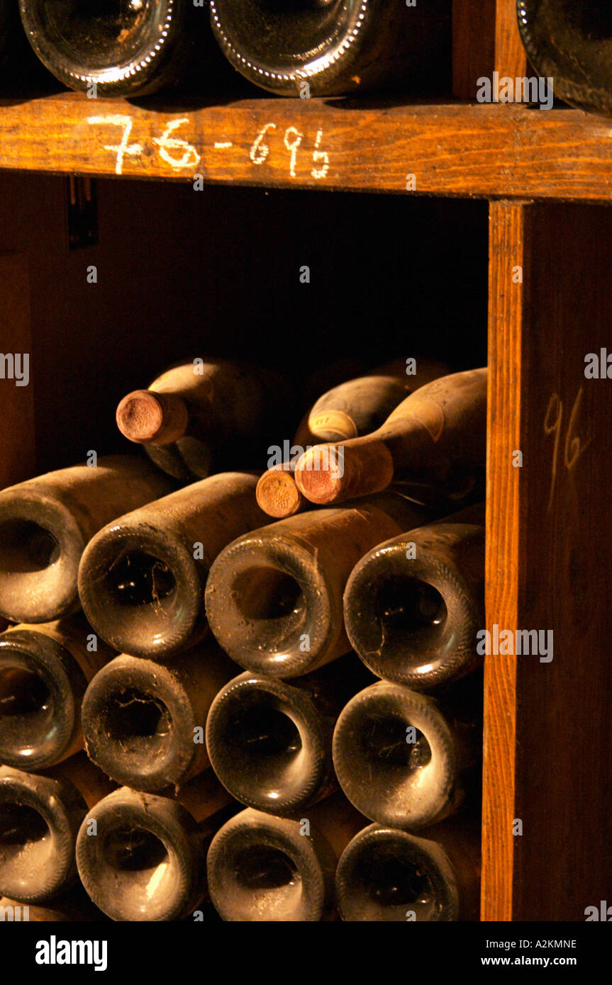 Old wine bottles aging in the wine cellar. Alain Voge, Cornas, Ardeche