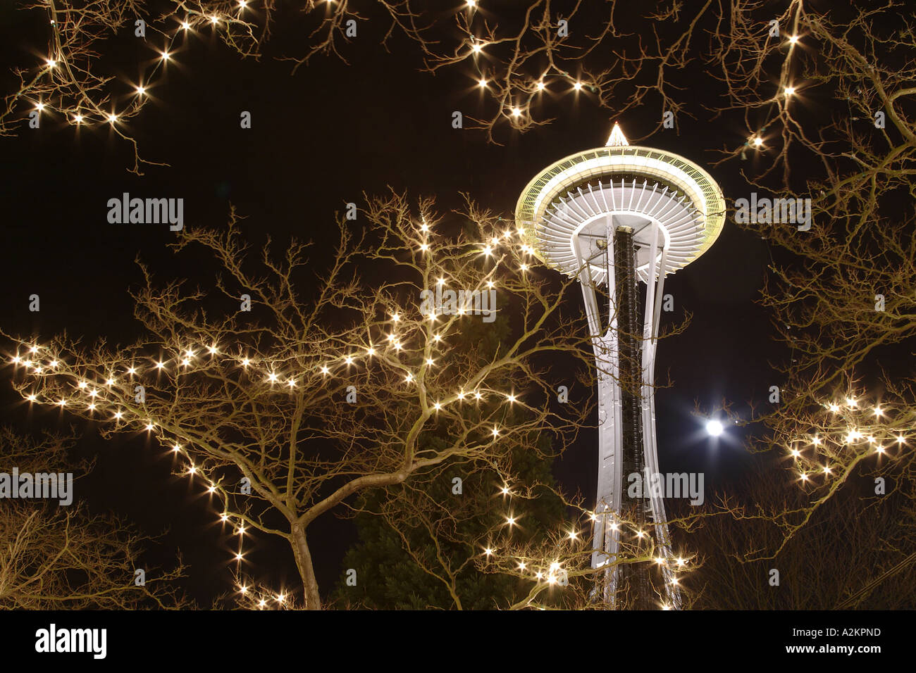 Nighttime scene of Seattle Space Needle and full moon through branches