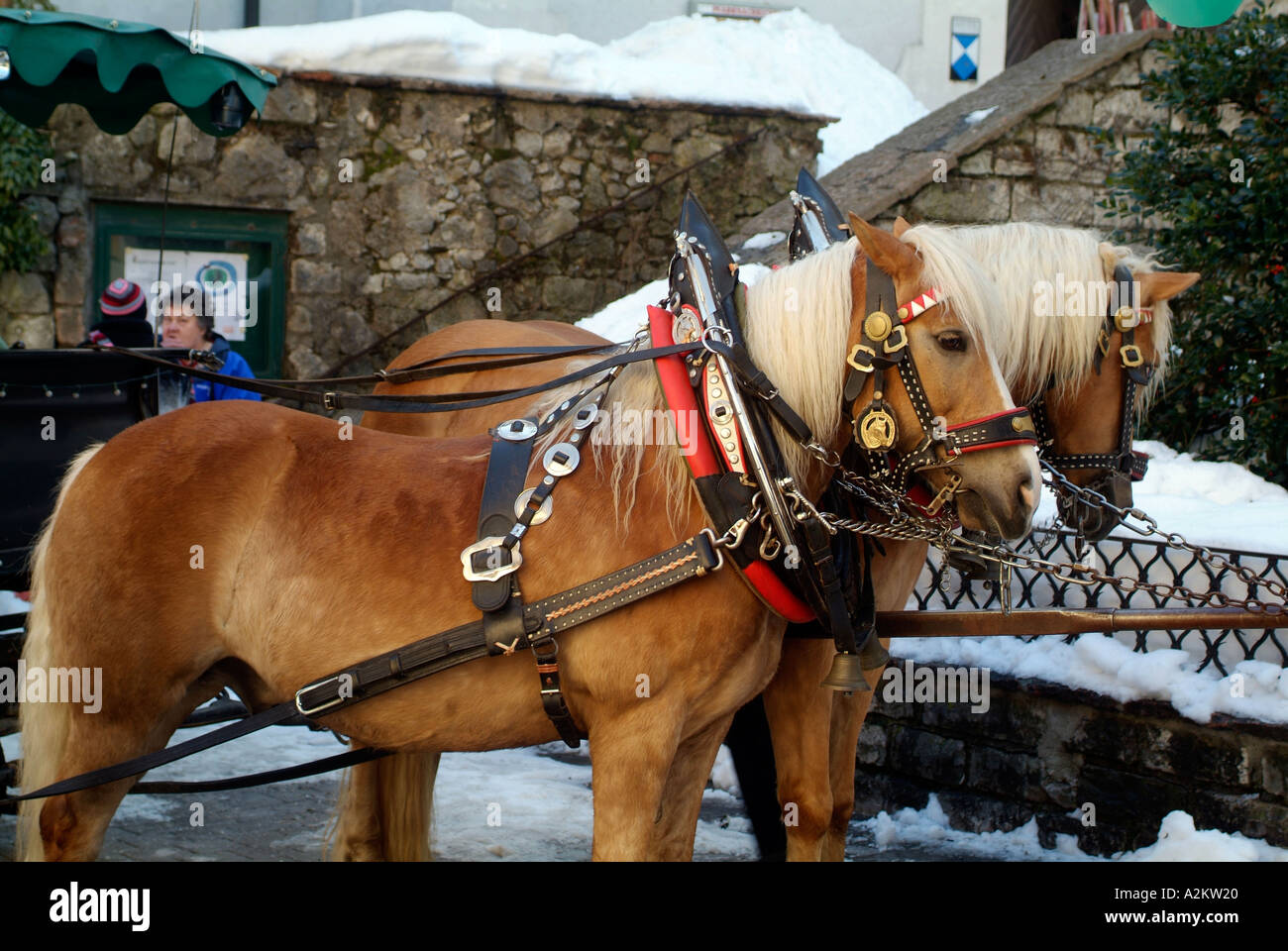 Horses Pulling Sleigh High Resolution Stock Photography and Images Alamy
