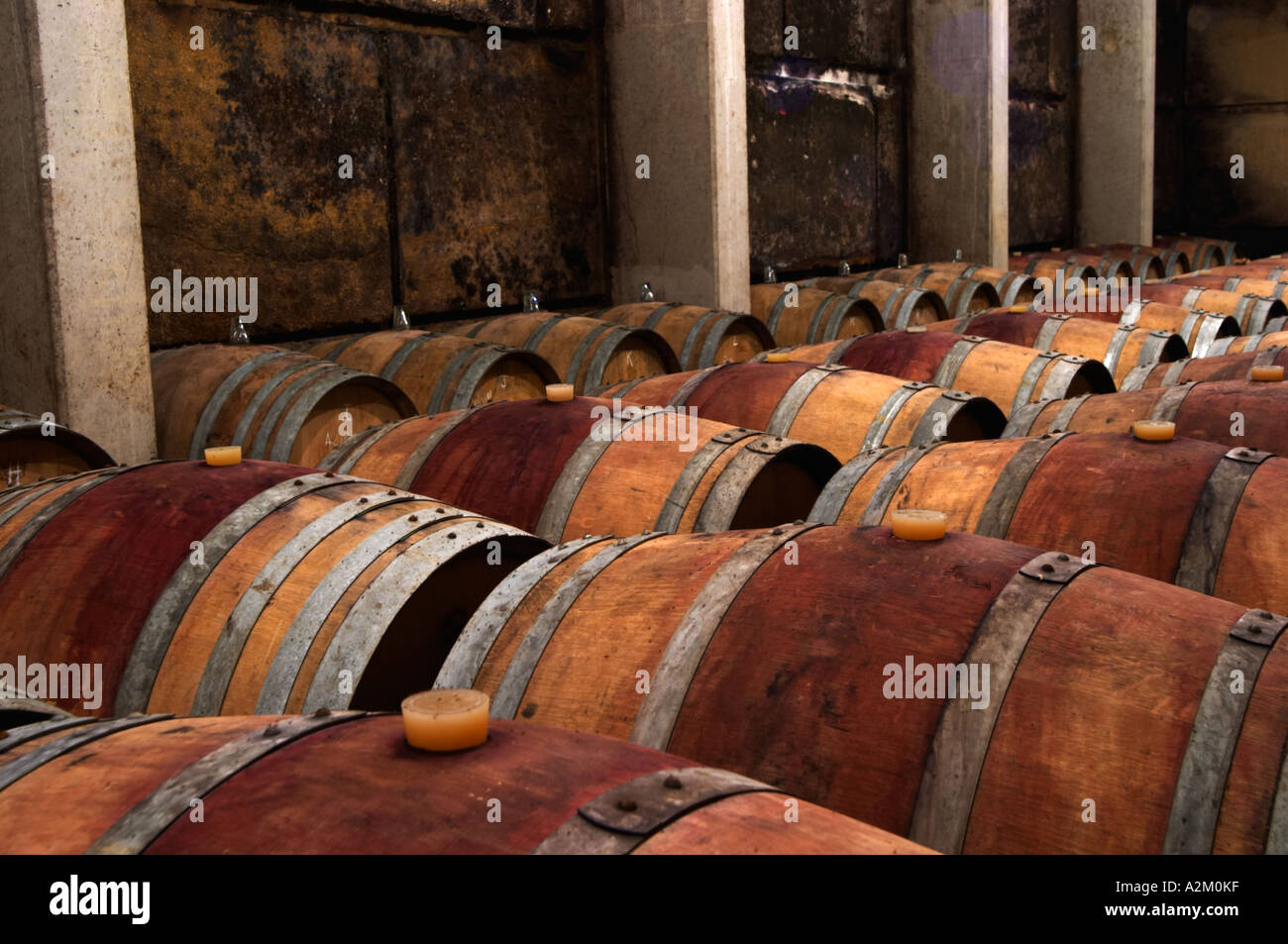 In the barrel aging cellar. Rows of wine aging in barrels. Domaine