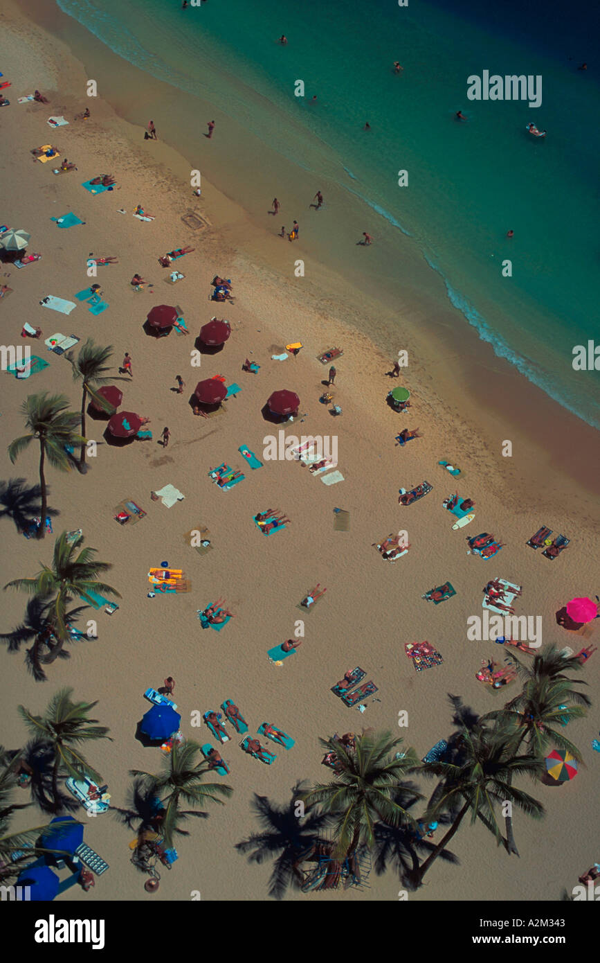 Aerial view of Palm trees umbrellas and vacationers on a tropical beach
