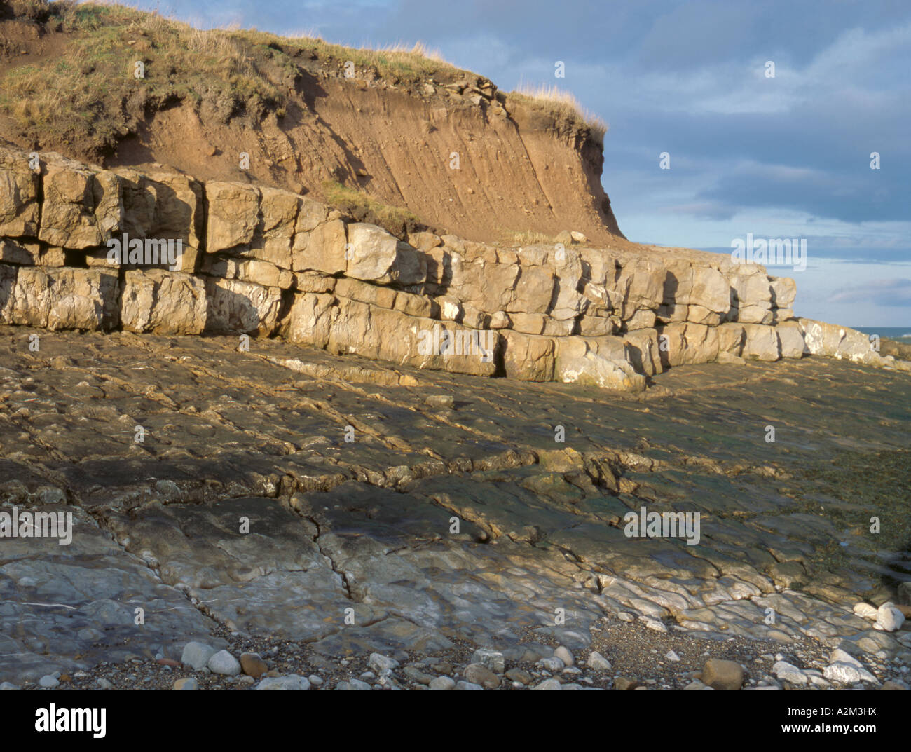 Wave cut platform in carboniferous limestone, over lain with boulder clay, near Newton-by-the-Sea, Northumberland, England, UK. Stock Photo
