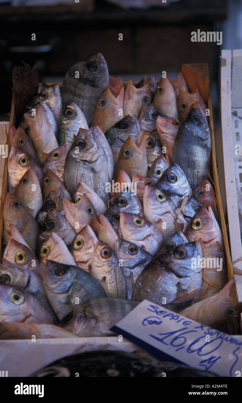 Europe, Italy, Siracusa, fish market Stock Photo Alamy