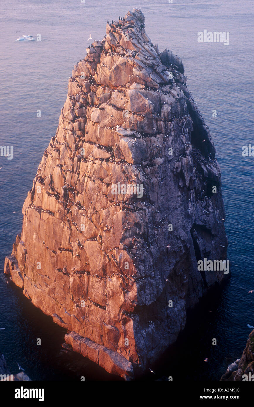 Qanday qilib yigitni yalashga majbur bolganini onlayn tomosha qiling