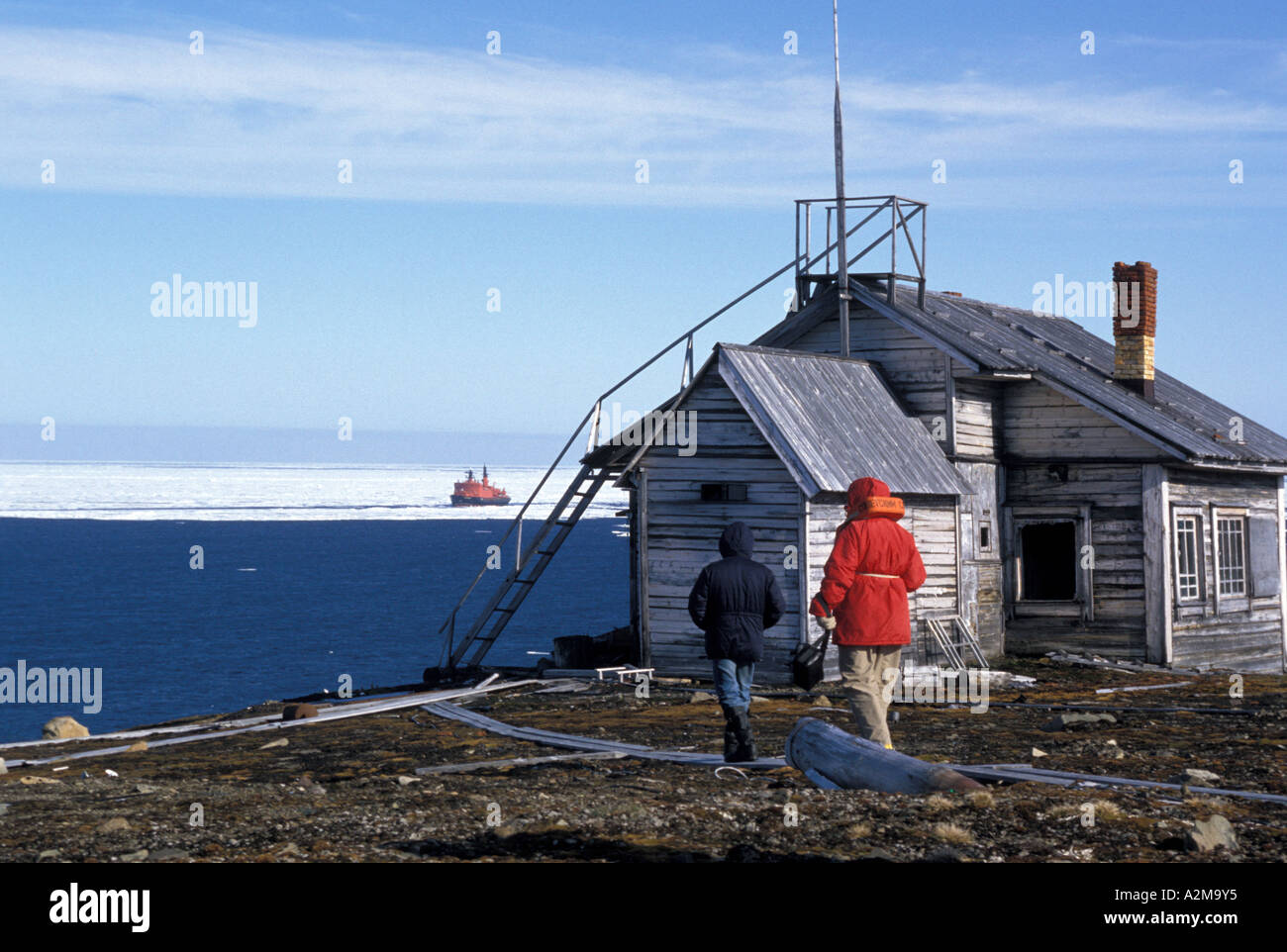 Asia, Russia, Siberian Arctic, New Siberian Islands, Henrietta Stock