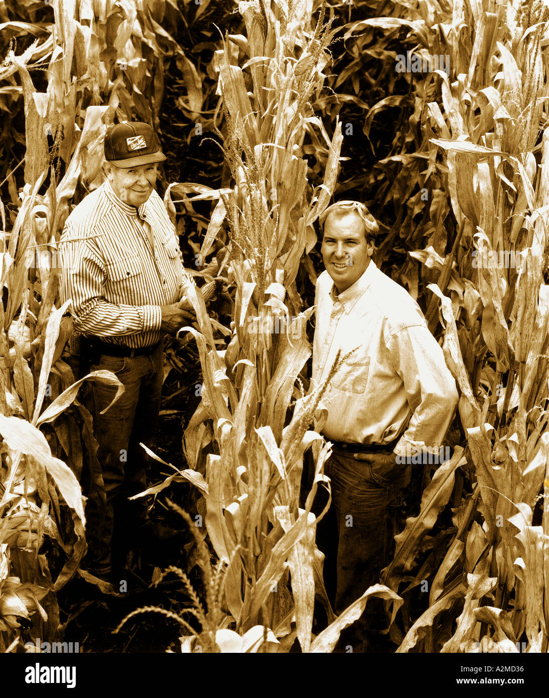 farmers in corn rows Stock Photo - Alamy