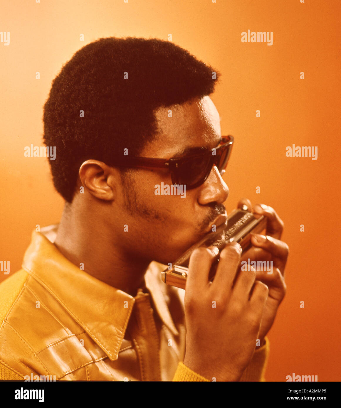 STEVIE WONDER US musician Stock Photo Alamy
