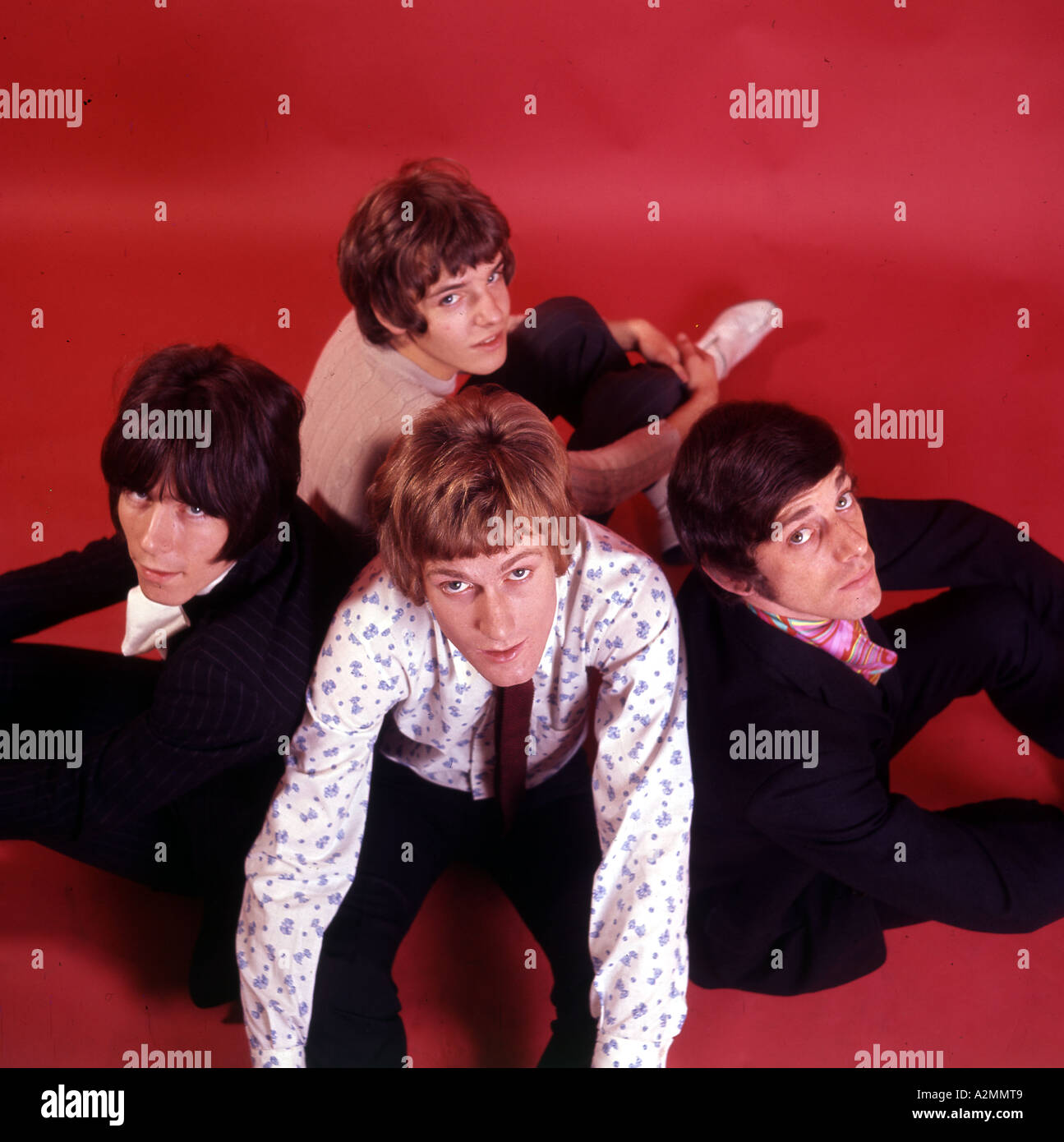 THE HERD Stock Photo