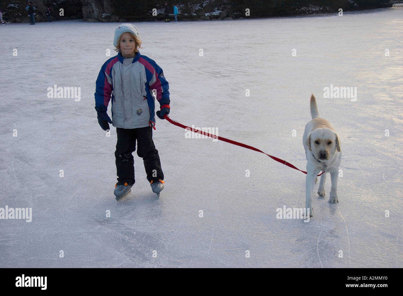ice skating with dog Stock Photo Alamy