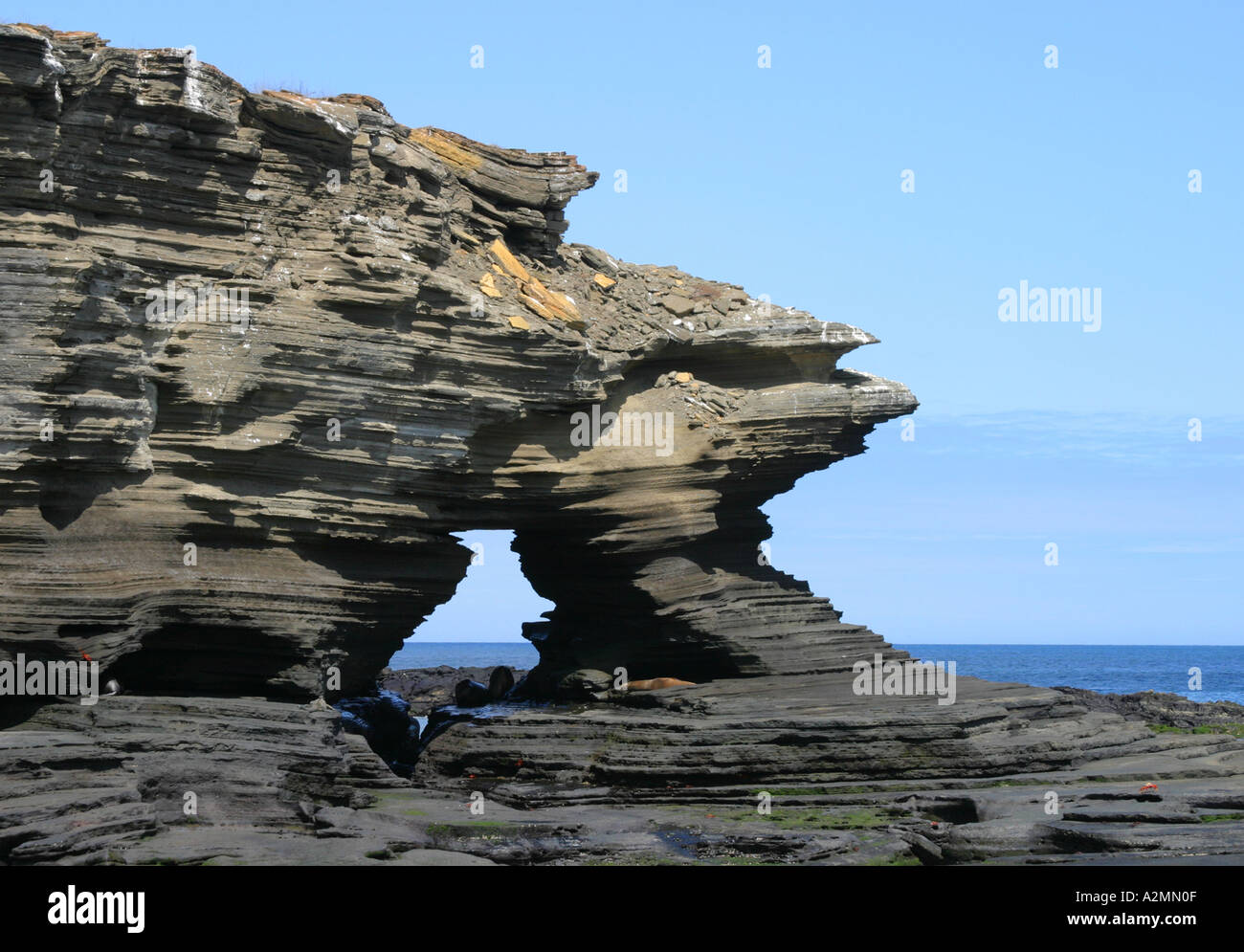 Rock formation Galapagos Islands Stock Photo - Alamy
