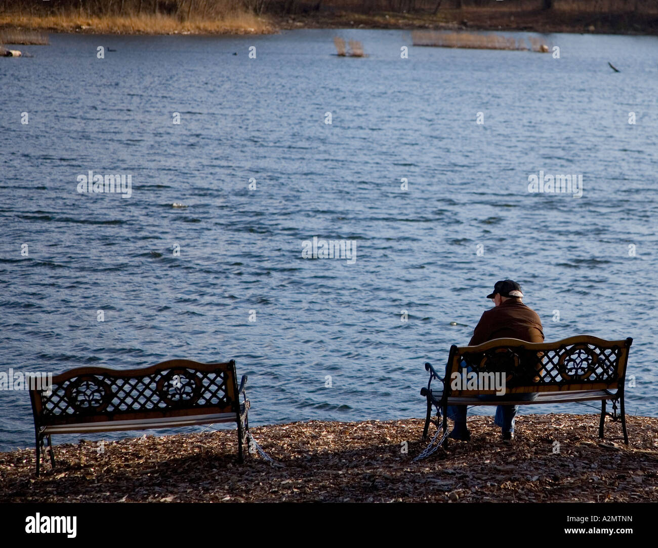 Elderly man sitting on a bench Stock Photo - Alamy