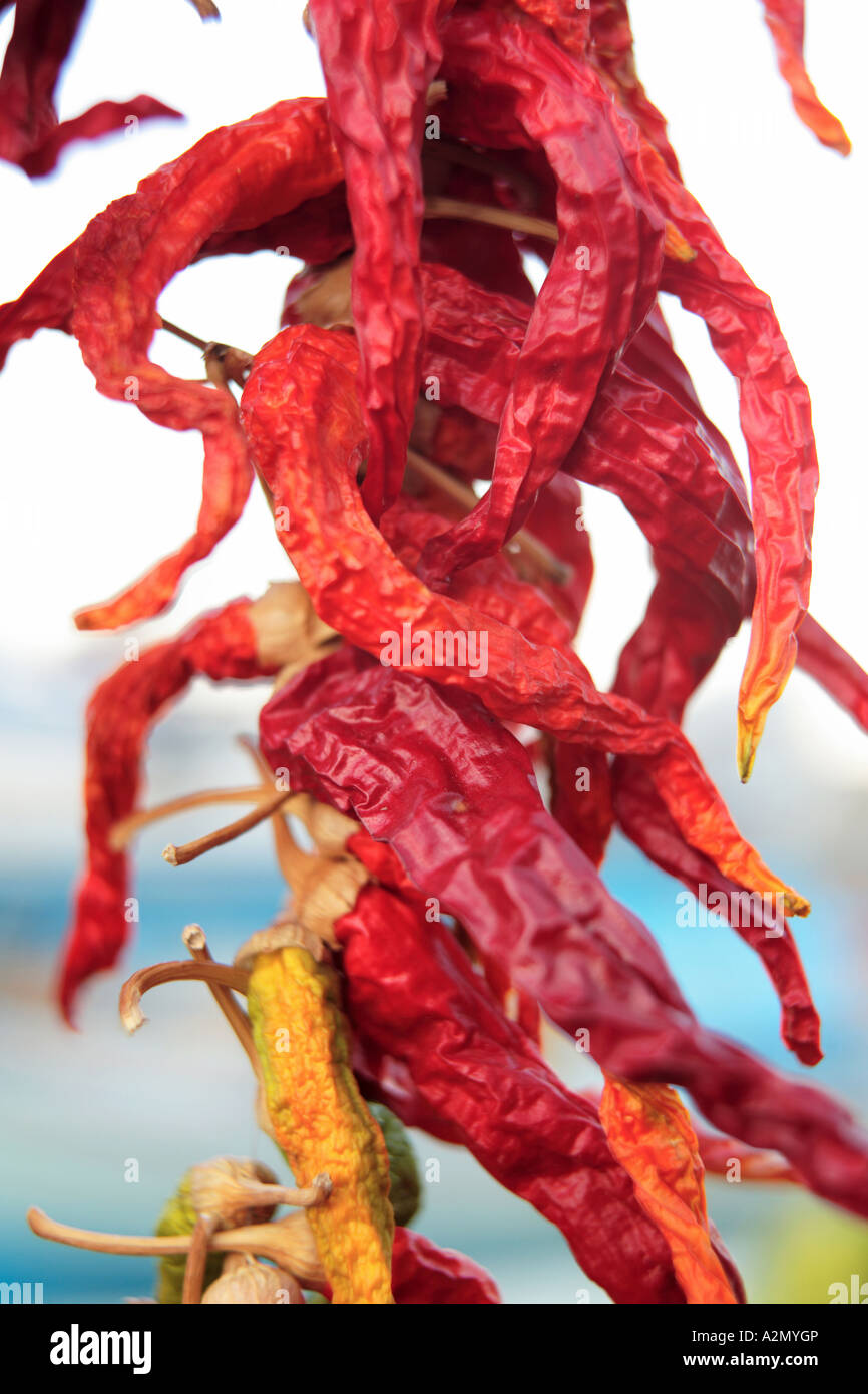 chili peppers hanging out to dry Stock Photo - Alamy