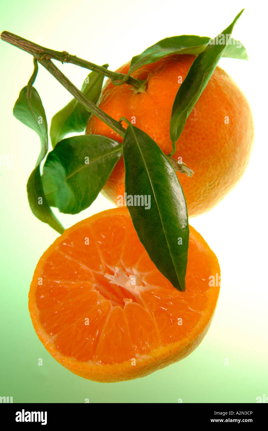 Two Clementines with Leaves Stock Photo Alamy