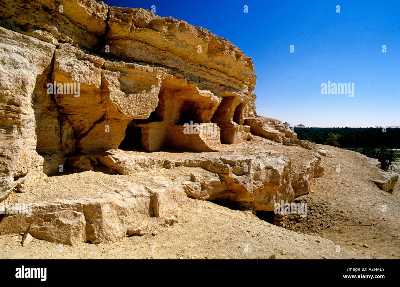 Rock formations in desert, Siwa Oasis, Egypt Stock Photo