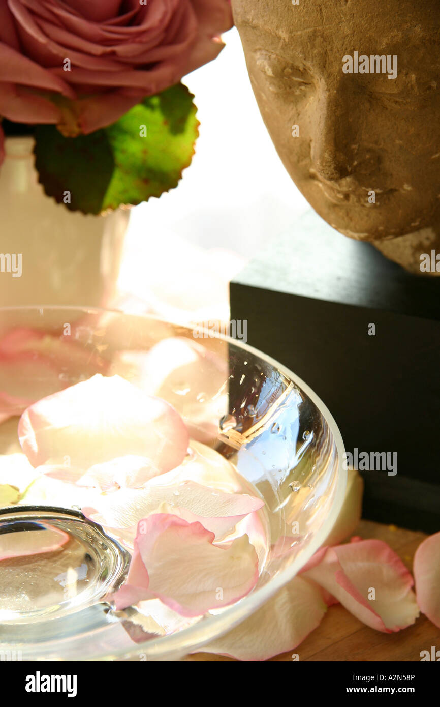 Rose petals in glass vase hi-res stock photography and images - Alamy