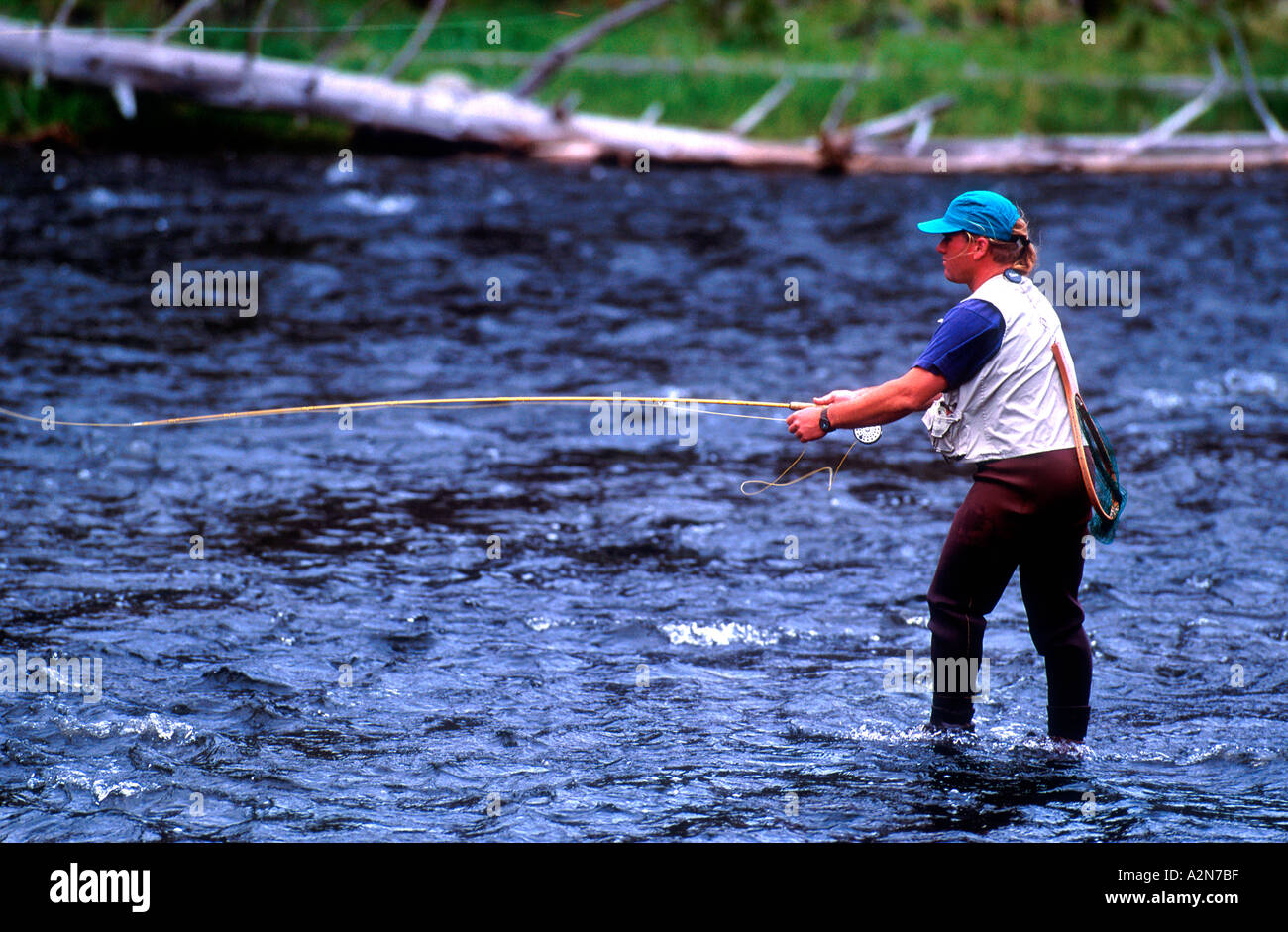 https://c8.alamy.com/comp/A2N7BF/woman-fly-fishing-river-in-waders-and-fishing-vest-usa-A2N7BF.jpg